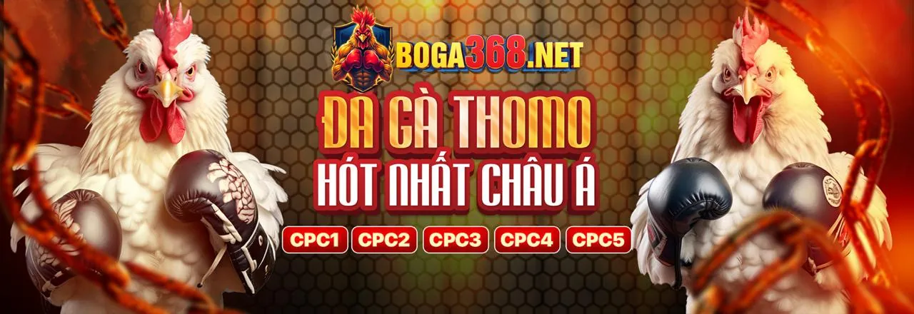 Khuyến mãi hoàn trả cược
